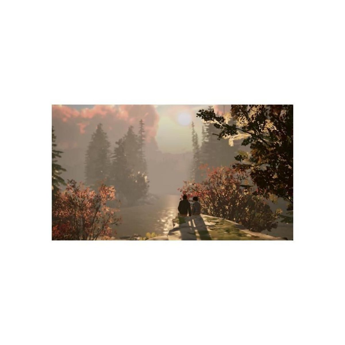 SQUARE ENIX Life Is Strange 2 - Jeu Nintendo Switch - Code in a box