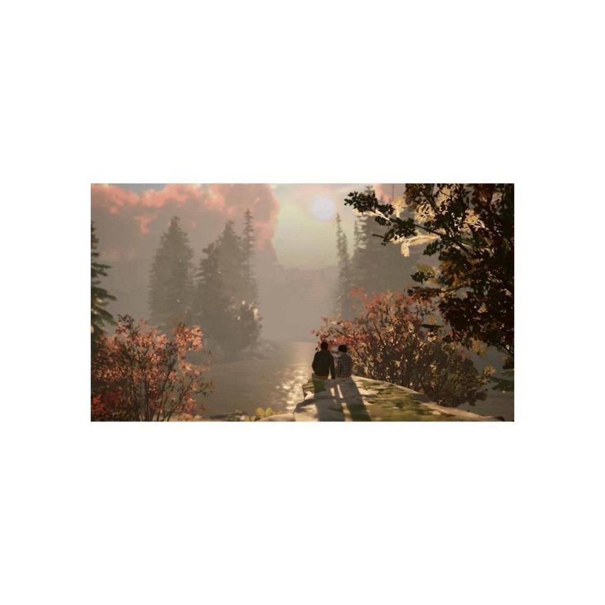 SQUARE ENIX Life Is Strange 2 - Jeu Nintendo Switch - Code in a box