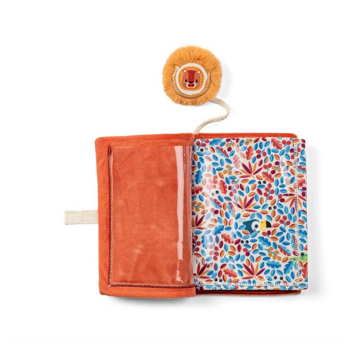 LILLIPUTIENS Album photo  Jack le lion