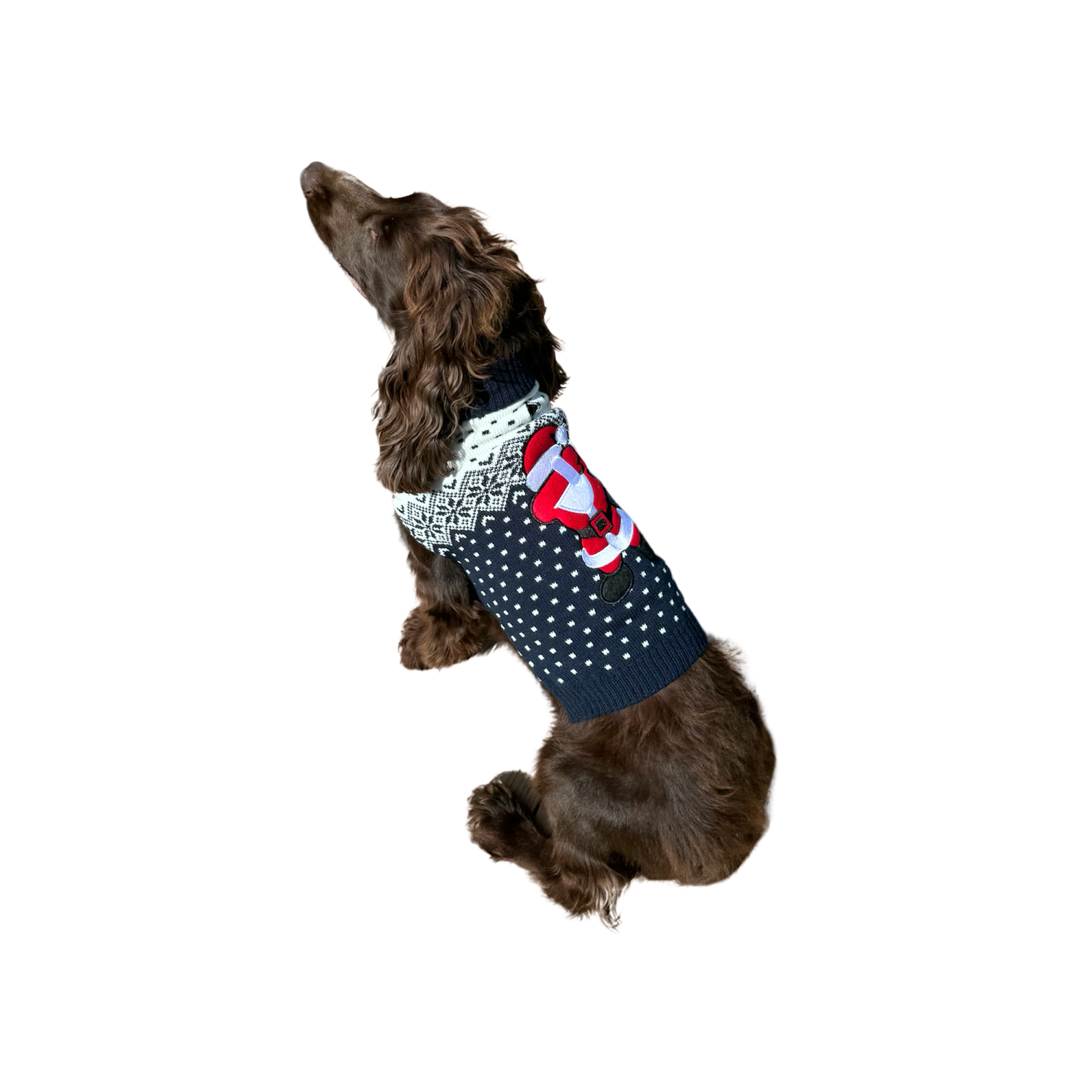 Voir la diapositive 3 : MON AMI LUKI Pull noel brode renne-pour chien- deguisement tricote - festif