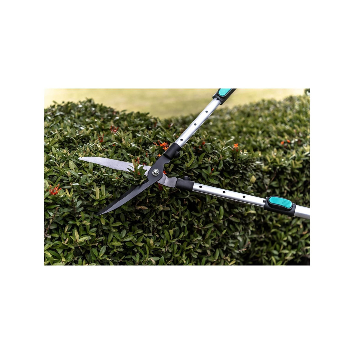 SUAN Cisaille à haie lame ondulée - Suan - Manche télescopique - Dimensions : 62-80 x 19-25 x 3 cm