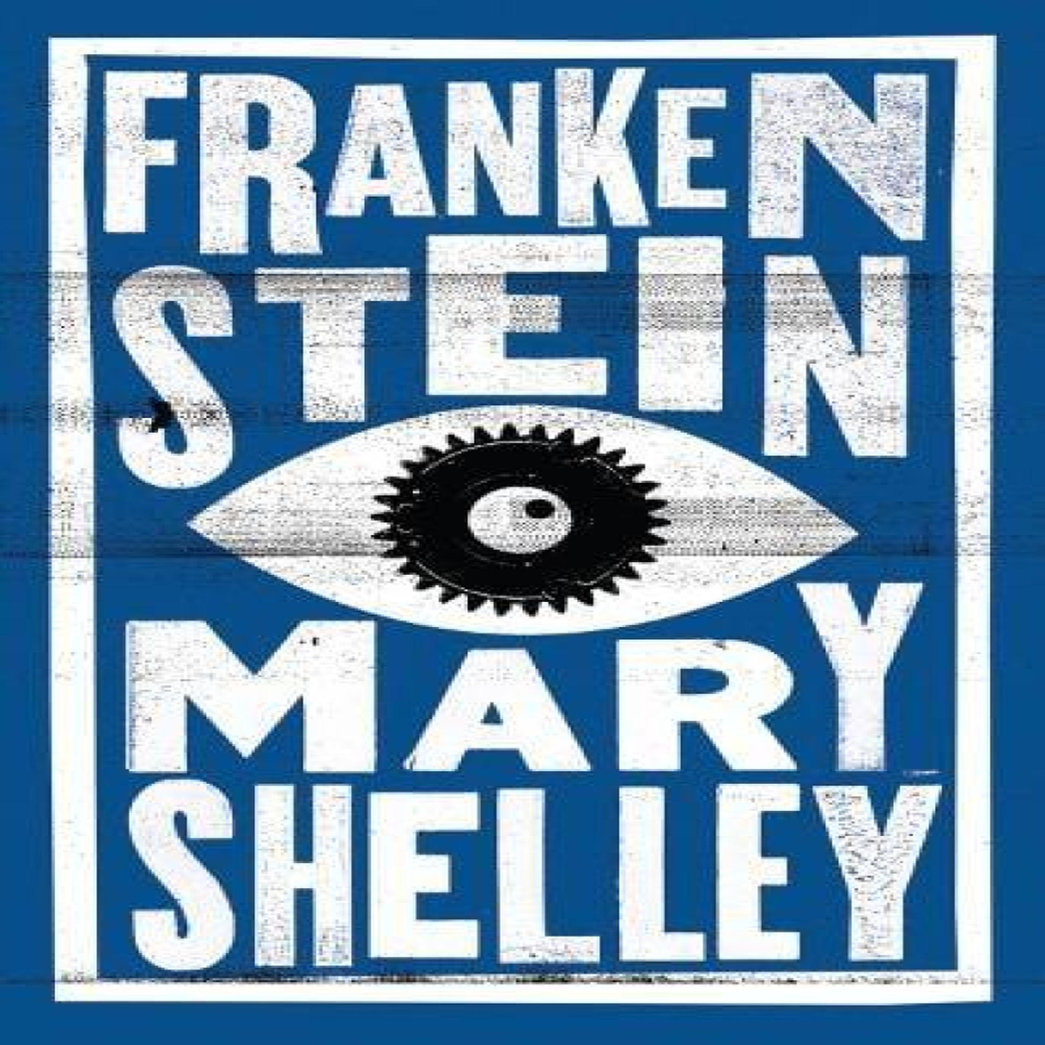 LIVRES Frankenstein - Mary Shelley