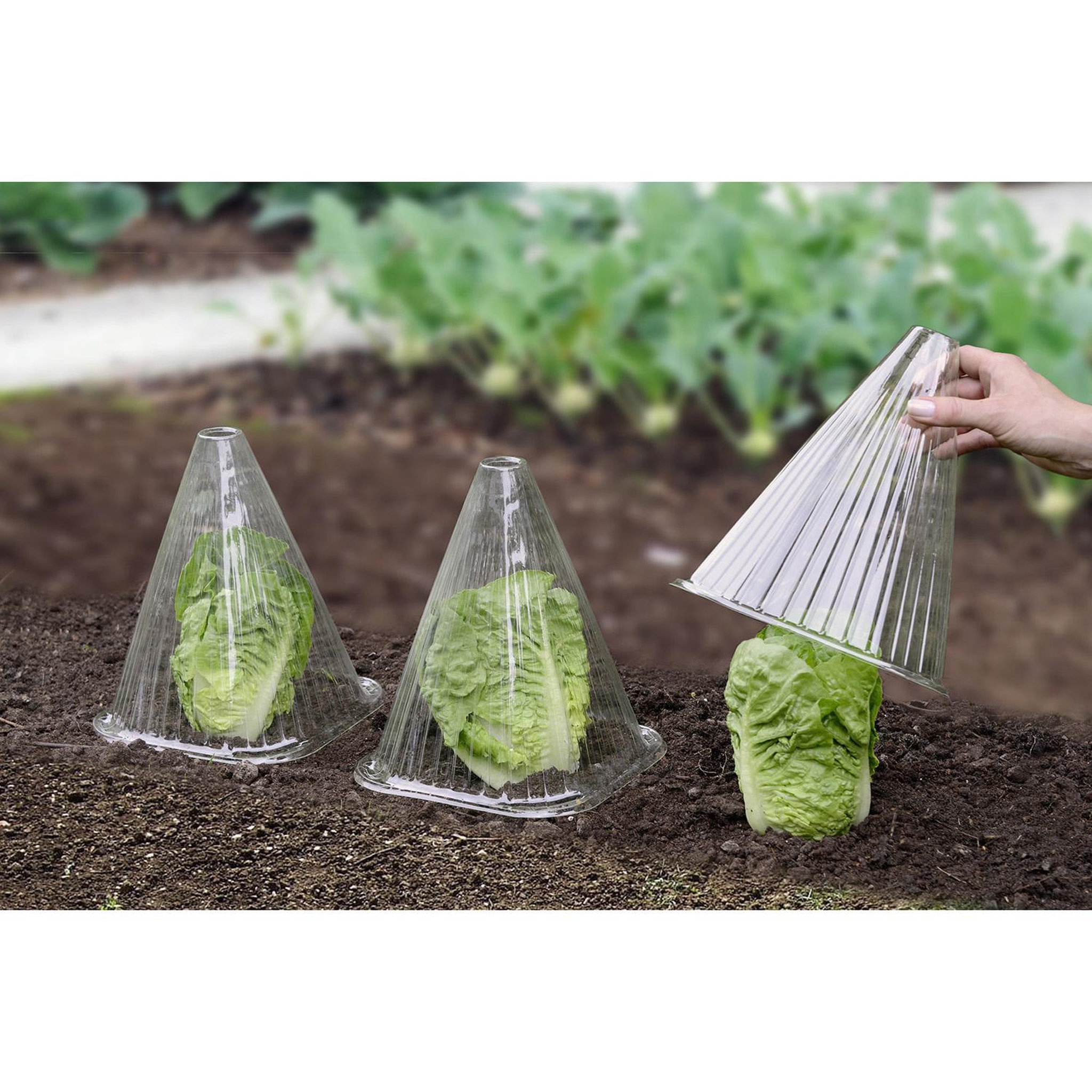 Wenko 6 Housses pour plants