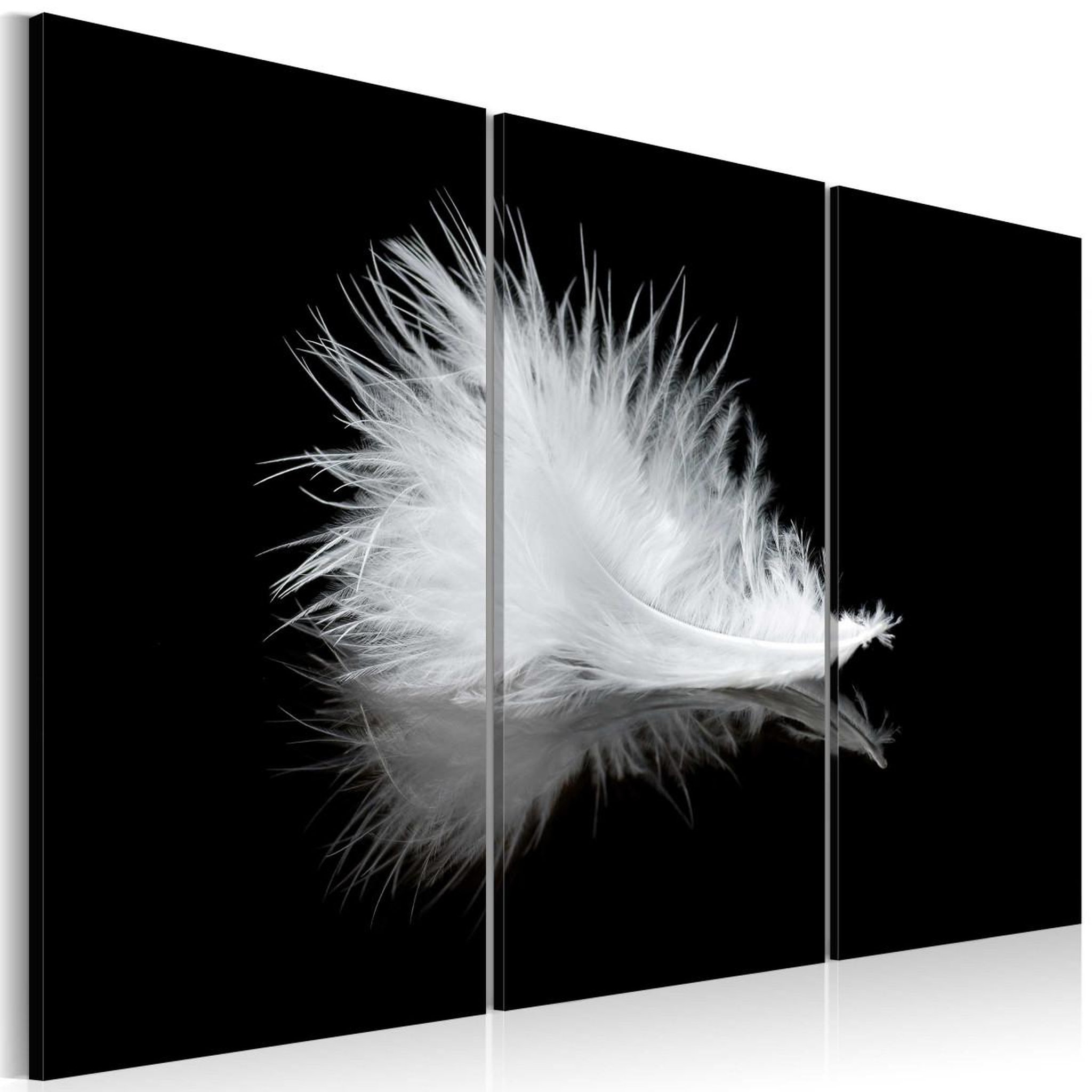 Voir la diapositive 1 : Paris Prix Tableau imprimé  petite plume