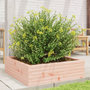 Voir la diapositive 3 : VIDAXL Jardiniere 80x80x23 cm bois massif de douglas