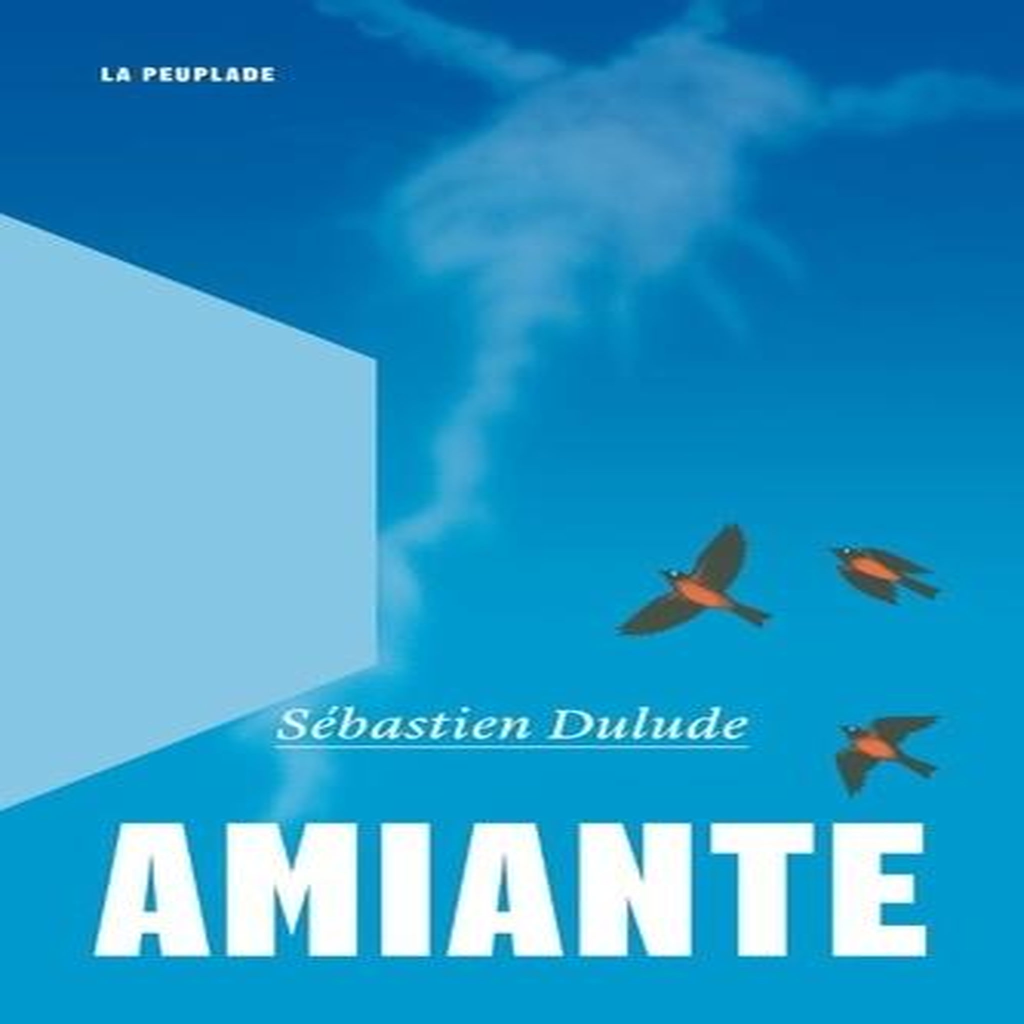 AMIANTE, Dulude Sébastien