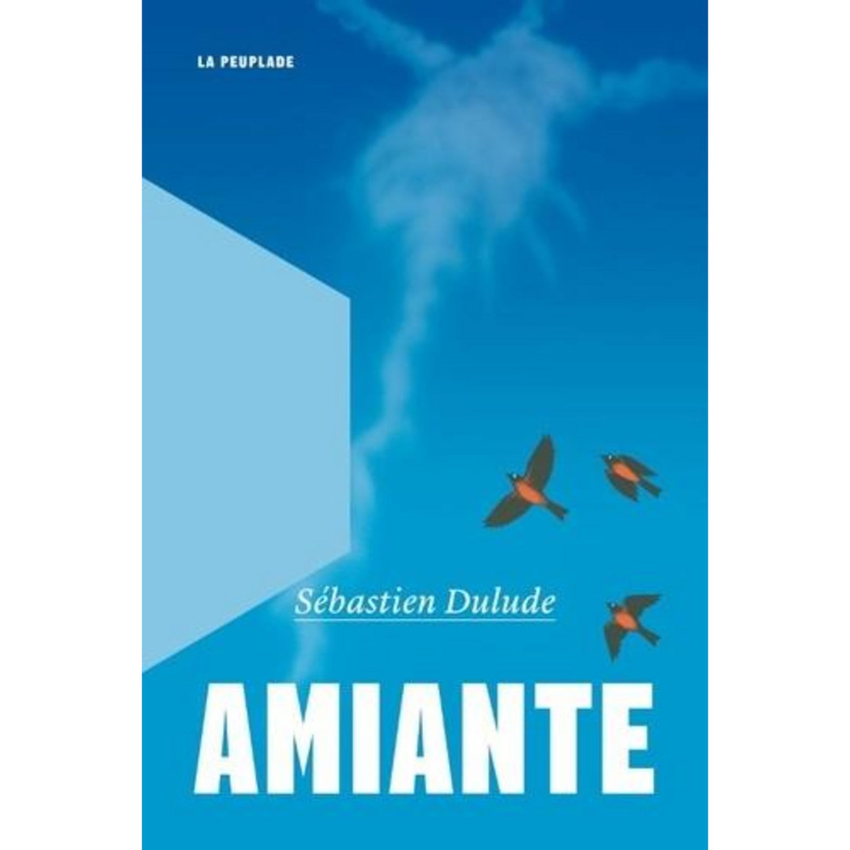 AMIANTE, Dulude Sébastien