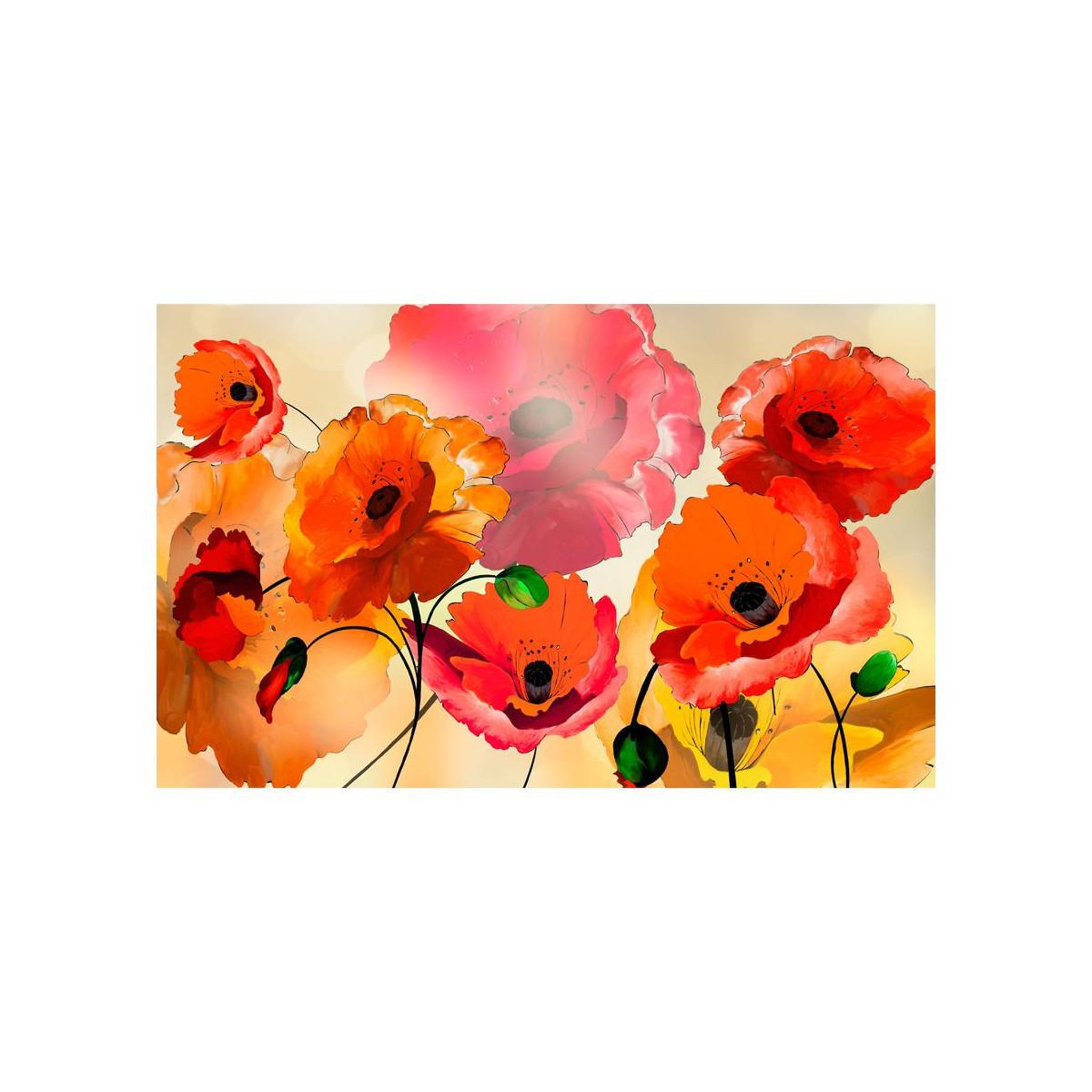 Voir la diapositive 2 : Paris Prix Papier Peint  Velvet Poppies II  450x280cm