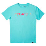 O'NEILL T-shirt Turquoise Garçon O'Neill Sanborn. Coloris disponibles : Bleu