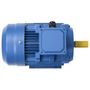 Voir la diapositive 5 : VIDAXL Moteur electrique triphase Aluminium 1,5kW/2 CH 2840 tr/min