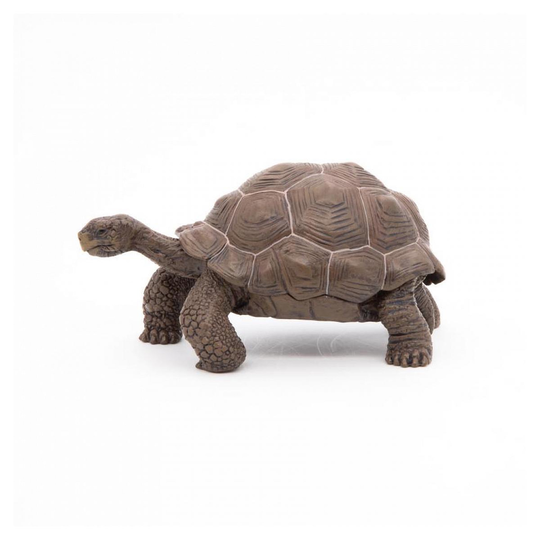 Papo Tortue des galapagos  figurine