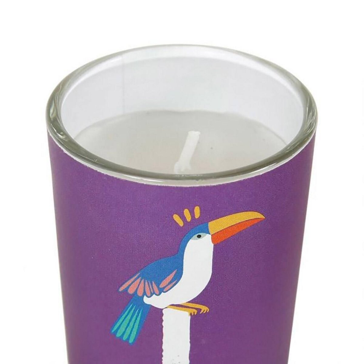 OSTARIA Bougies pot verre Jungle X4