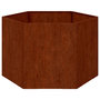 Voir la diapositive 5 : VIDAXL Jardiniere Rouille 60x60x45 cm Acier corten