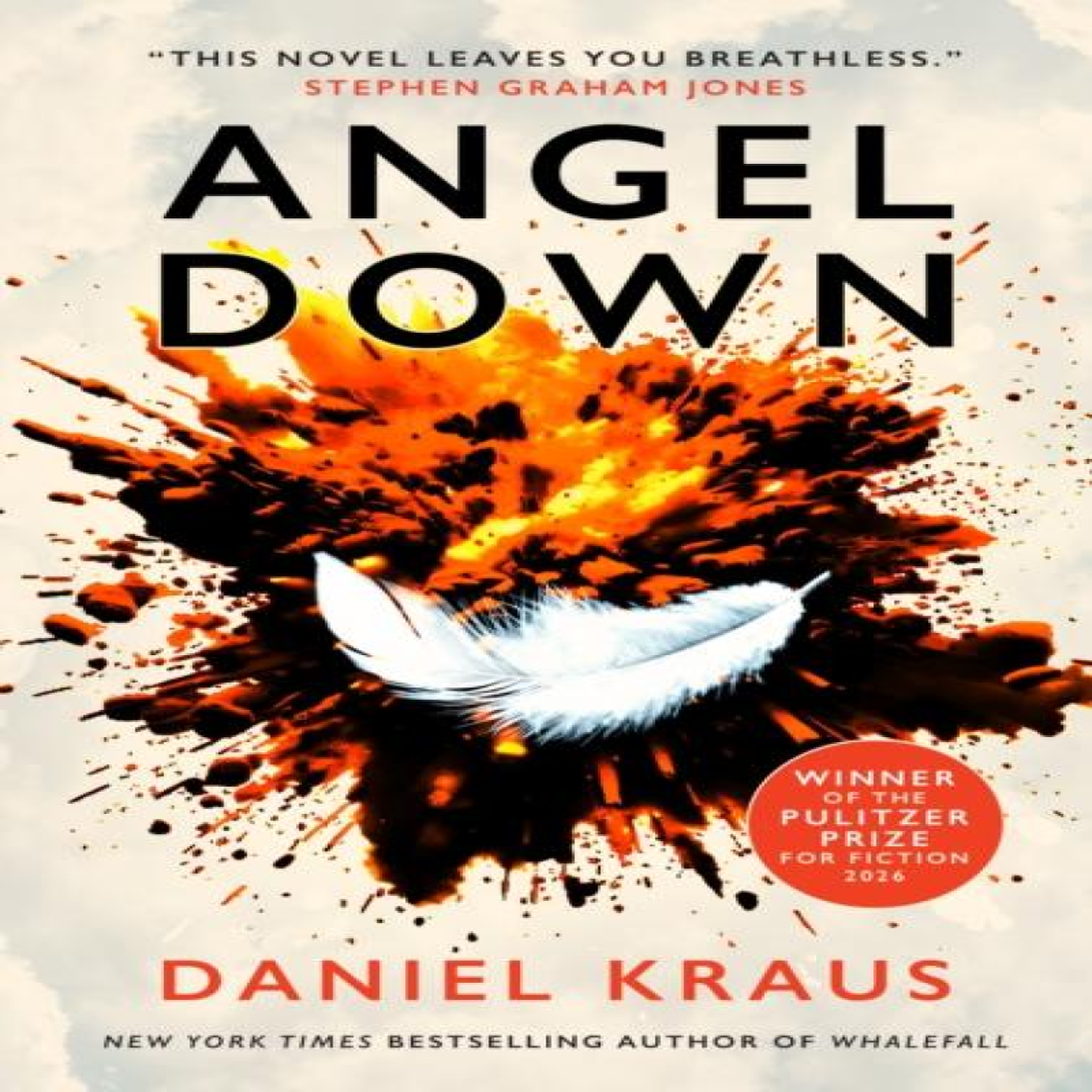 LIVRES Angel Down - Daniel Kraus