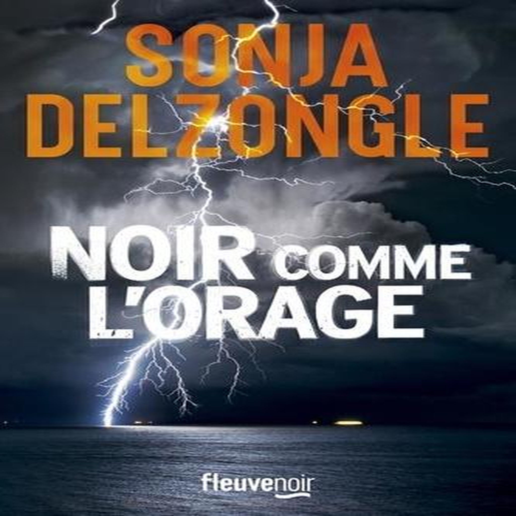 NOIR COMME L'ORAGE, Delzongle Sonja