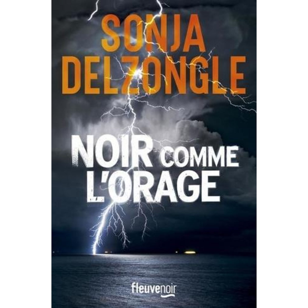 NOIR COMME L'ORAGE, Delzongle Sonja
