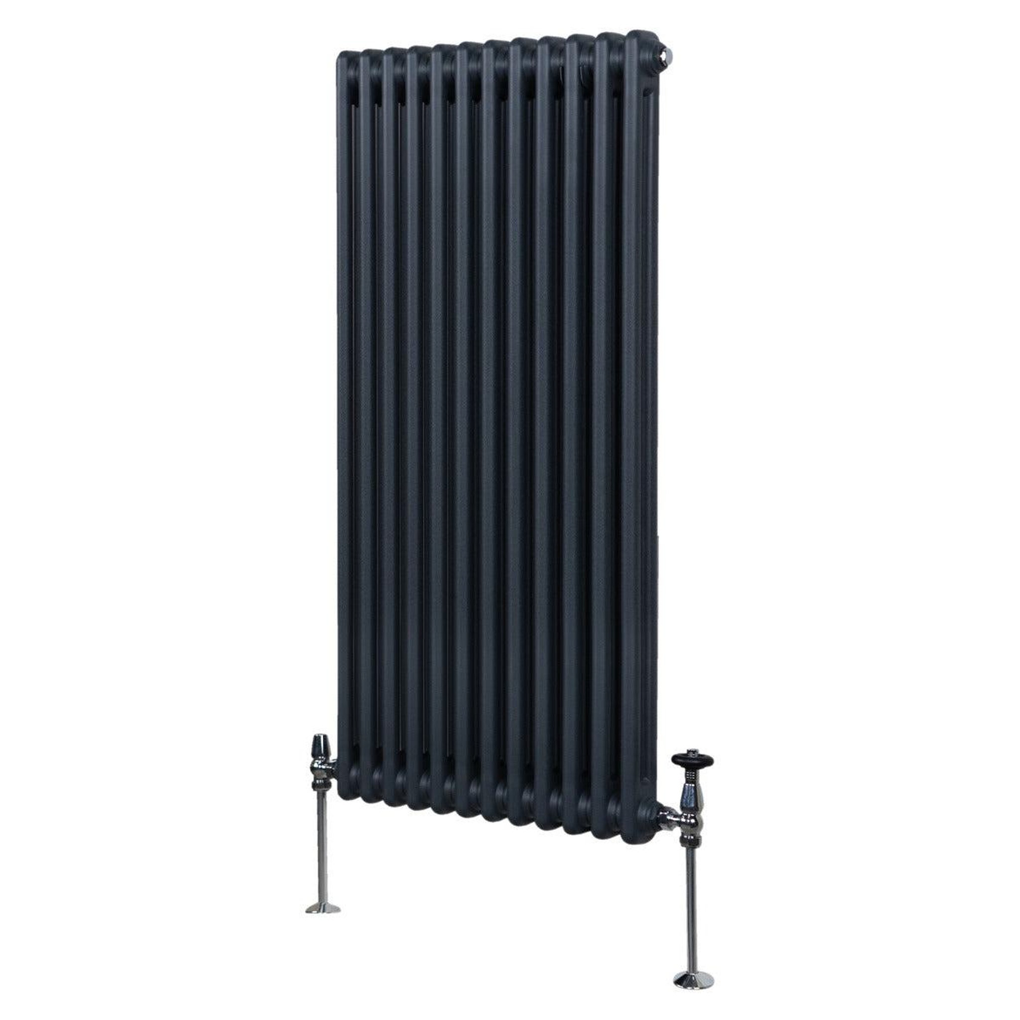 Voir la diapositive 1 : MONSTERSHOP Radiateur traditionnel à 2 colonnes – 1500 x 562 mm