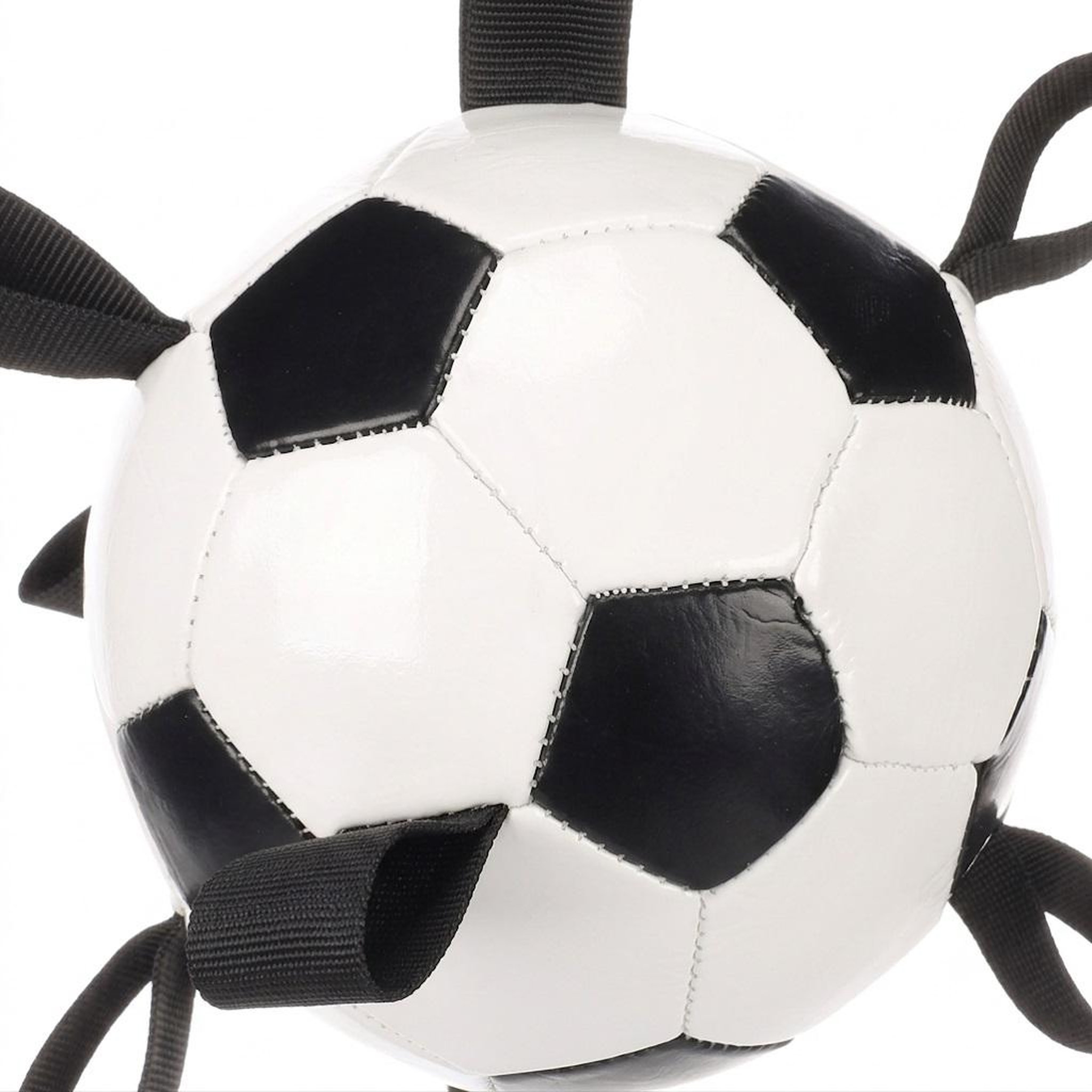 Voir la diapositive 5 : Eden Ballon de football flottant avec rubans pour chien