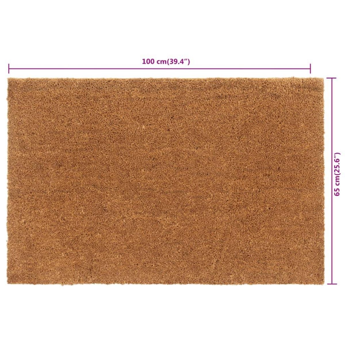 VIDAXL Tapis de porte naturel 65x100 cm fibre de coco touffete