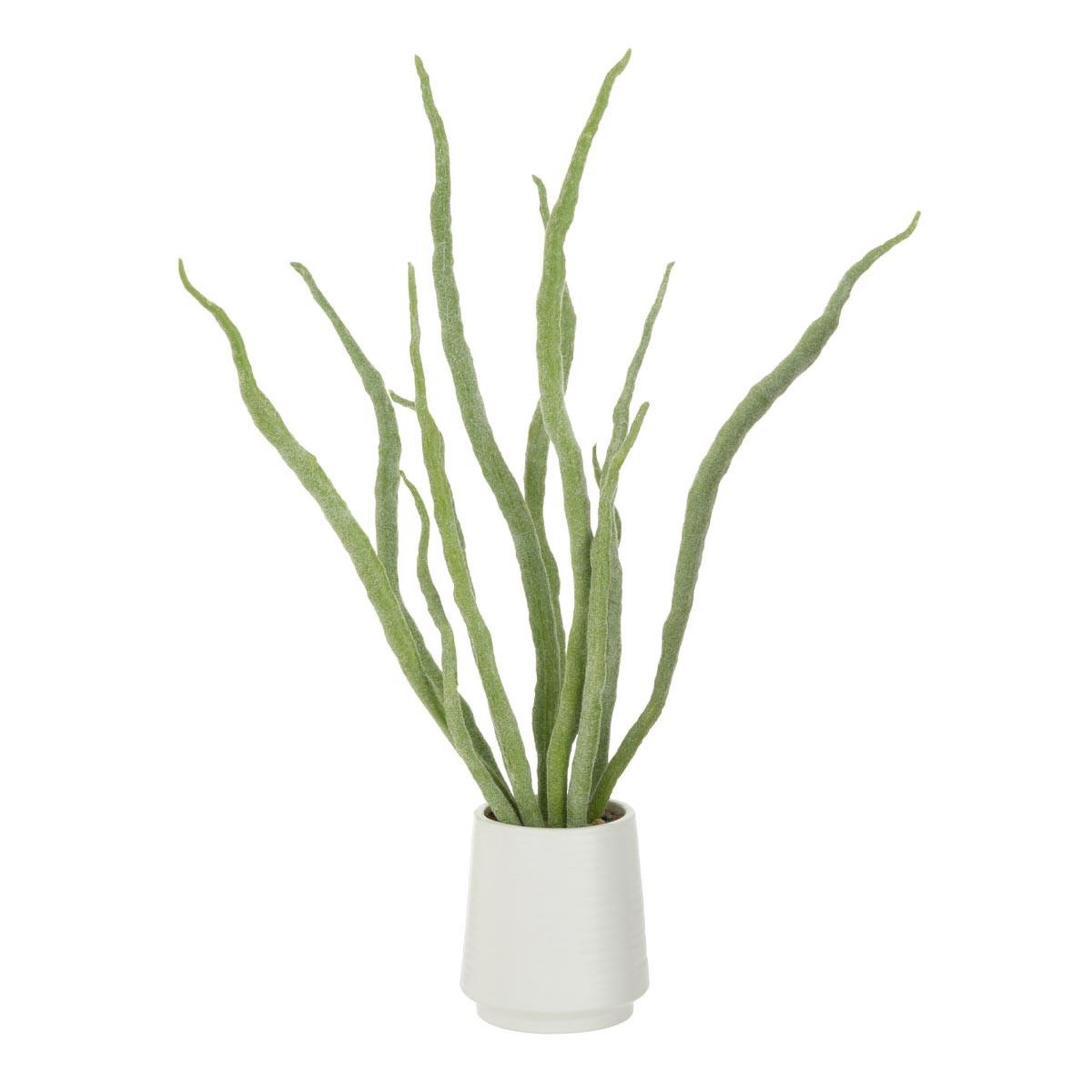 J-LINE Plante artificielle en pot  grasse  92cm vert