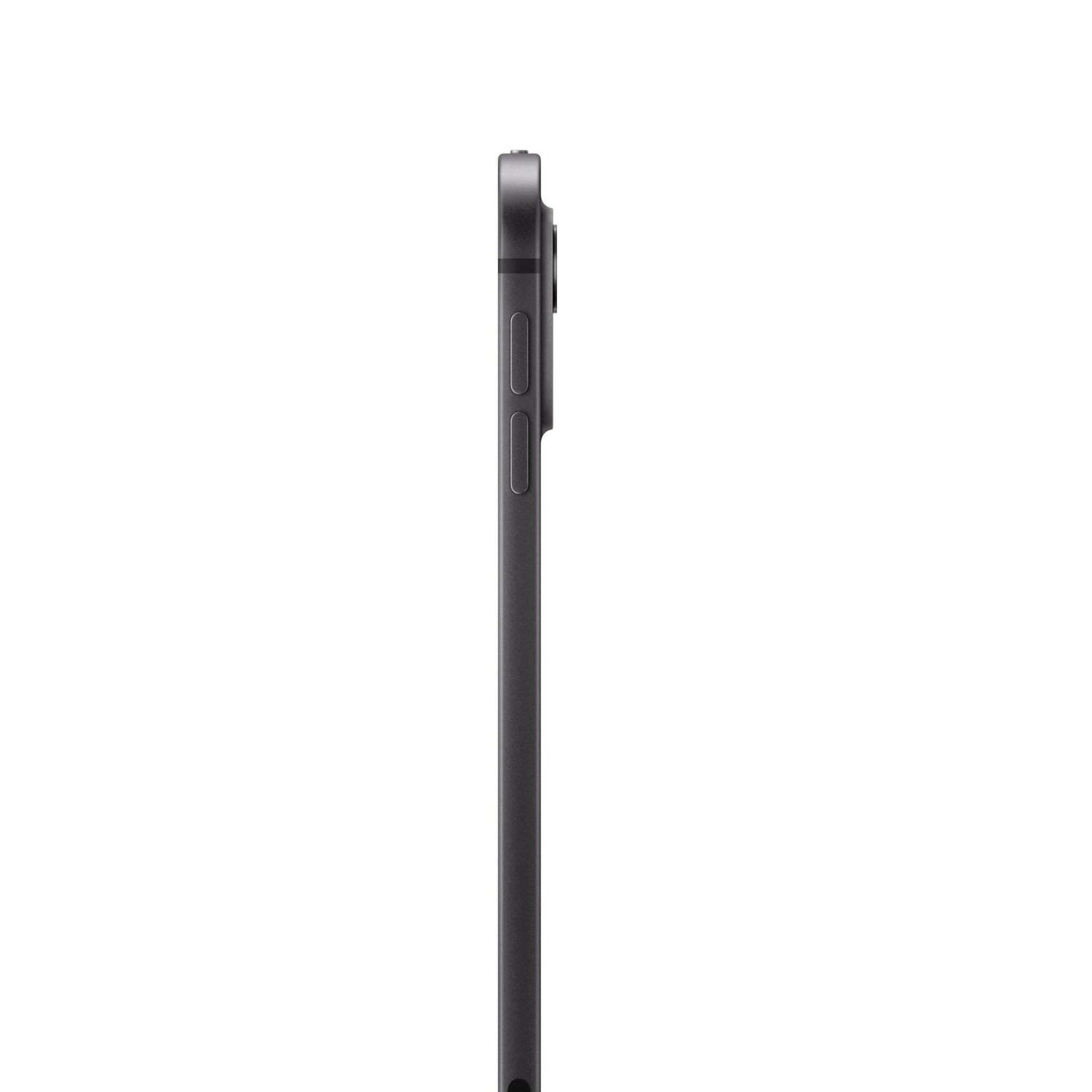 Voir la diapositive 3 : APPLE Apple iPad Pro Apple M 256 Go 27,9 cm (11 ) 8 Go Wi-Fi 6E (802.11ax) iPadOS 17 Noir