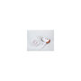 Voir la diapositive 3 : JATA JATA SC47B sèche-cheveux 1200 W Marron, Blanc