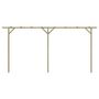 Voir la diapositive 2 : VIDAXL Pergola de jardin 410 x 40 x 203 cm Bois