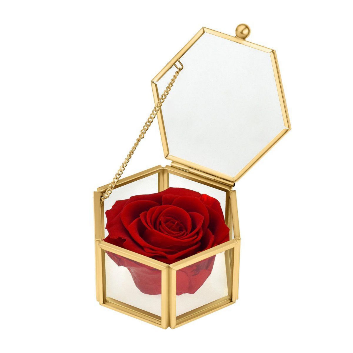 SC CRYSTAL Coffret en verre décoré d'une rose éternelle - stabilisée