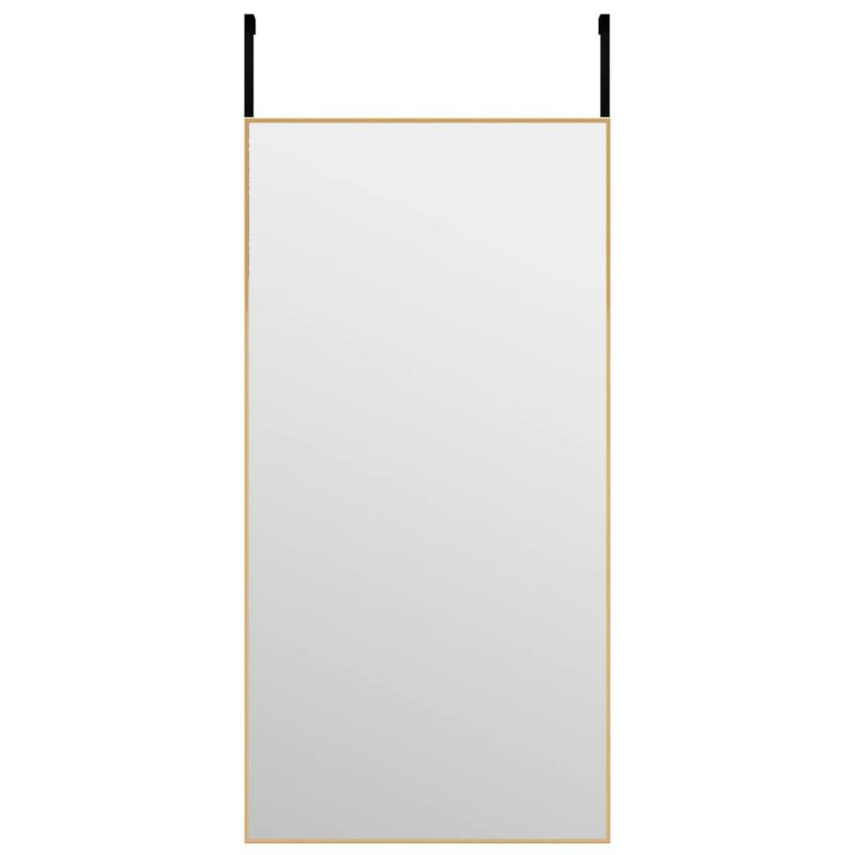VIDAXL Miroir de porte Dore 40x80 cm Verre et aluminium