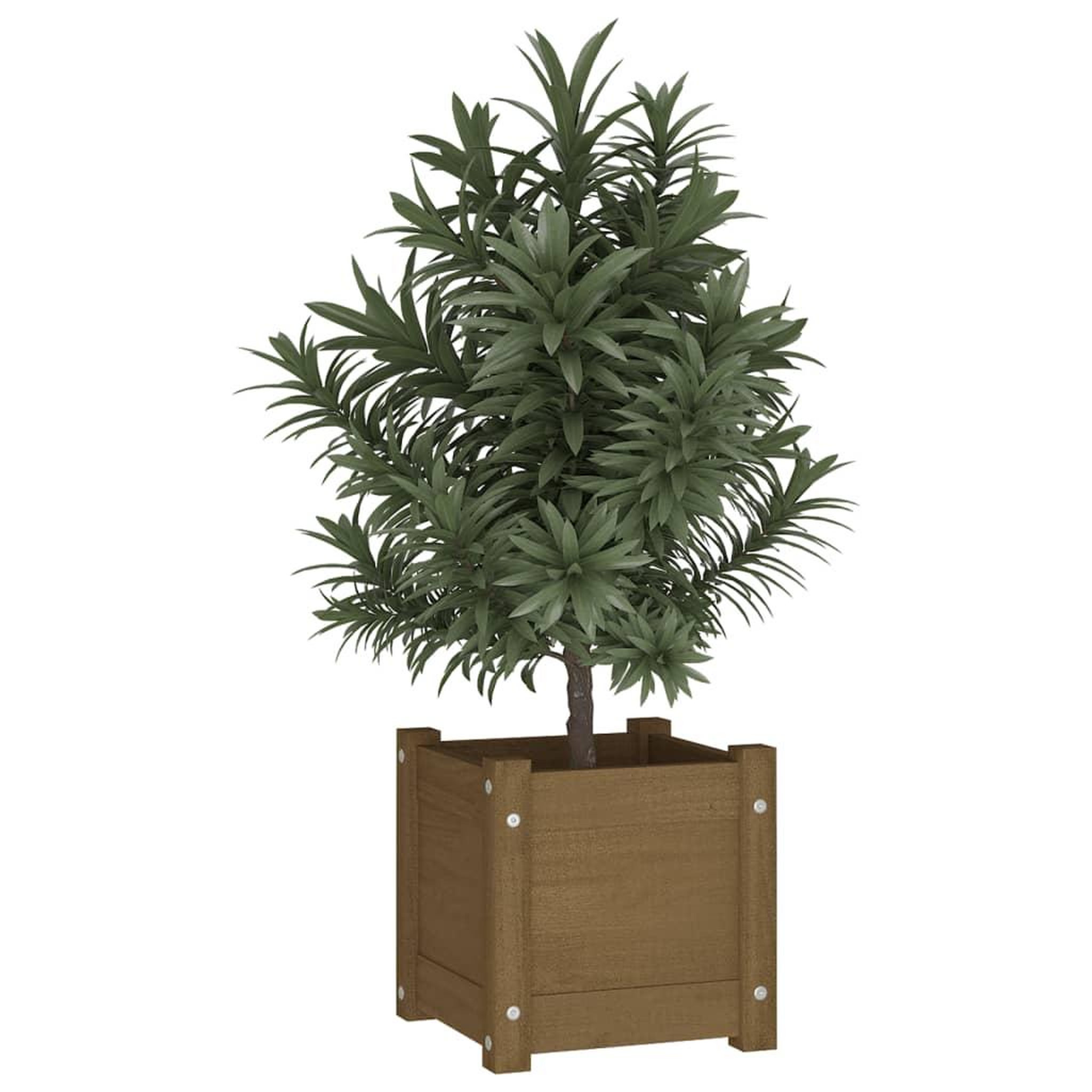 Voir la diapositive 3 : VIDAXL Jardinieres d'exterieur 2pcs Marron miel 31x31x31cm Bois de pin