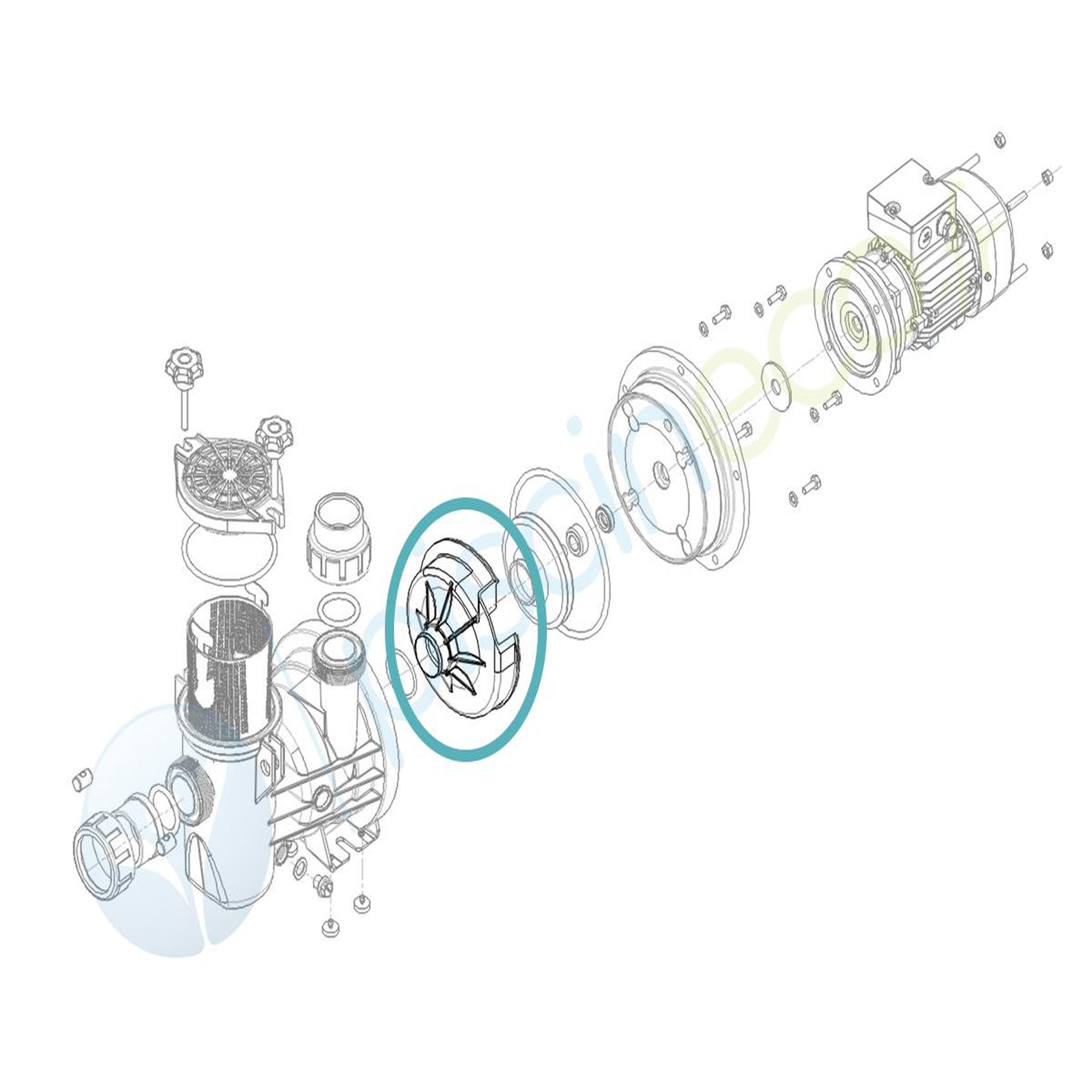 HYDROSWIM Volute pour pompe Série HPS - Hydroswim
