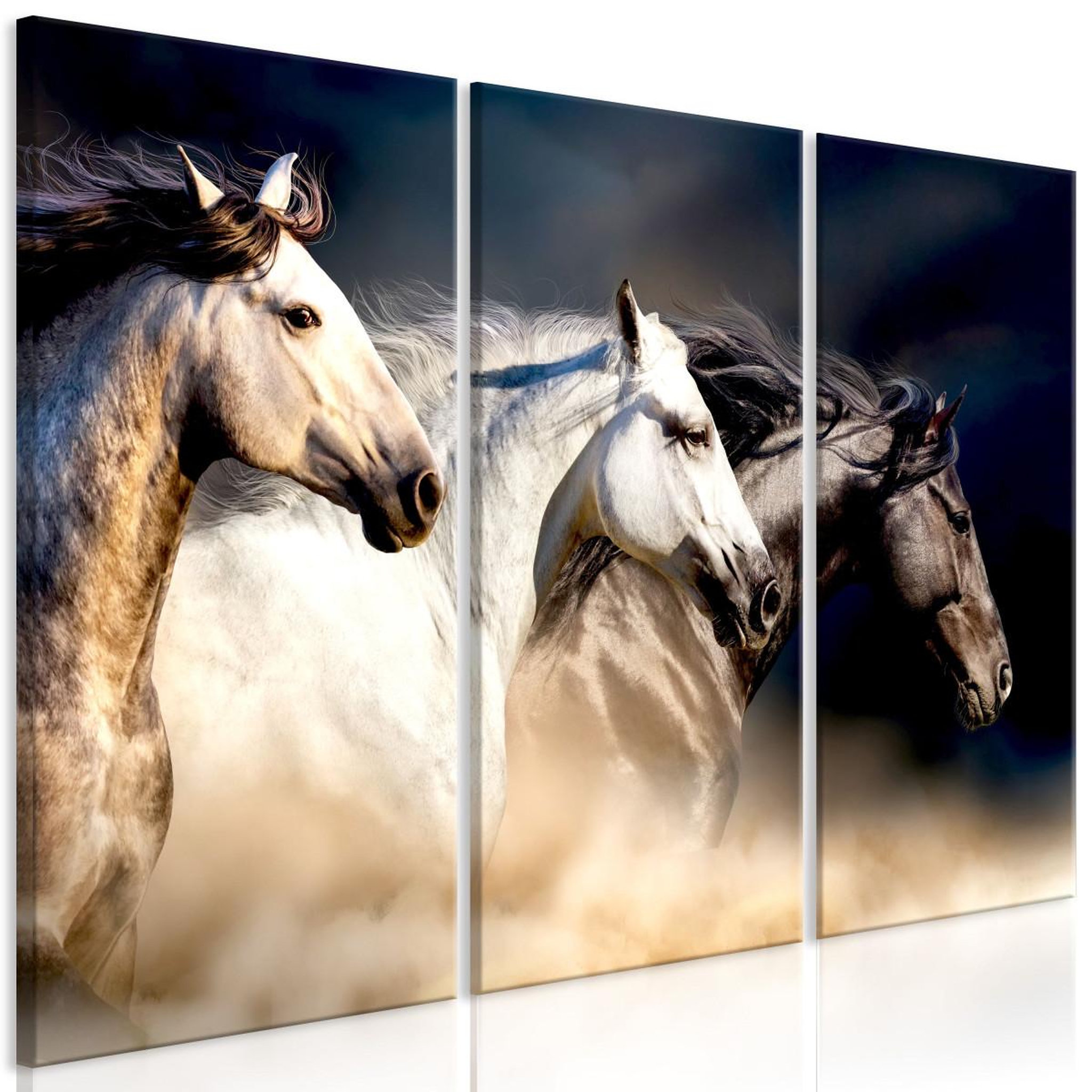 Paris Prix Tableau imprimé 3 panneaux  sons of the wind. Coloris disponibles : Multicolore