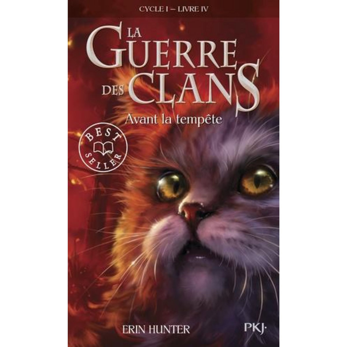 LA GUERRE DES CLANS (CYCLE 1) TOME 4 : AVANT LA TEMPETE, Hunter Erin