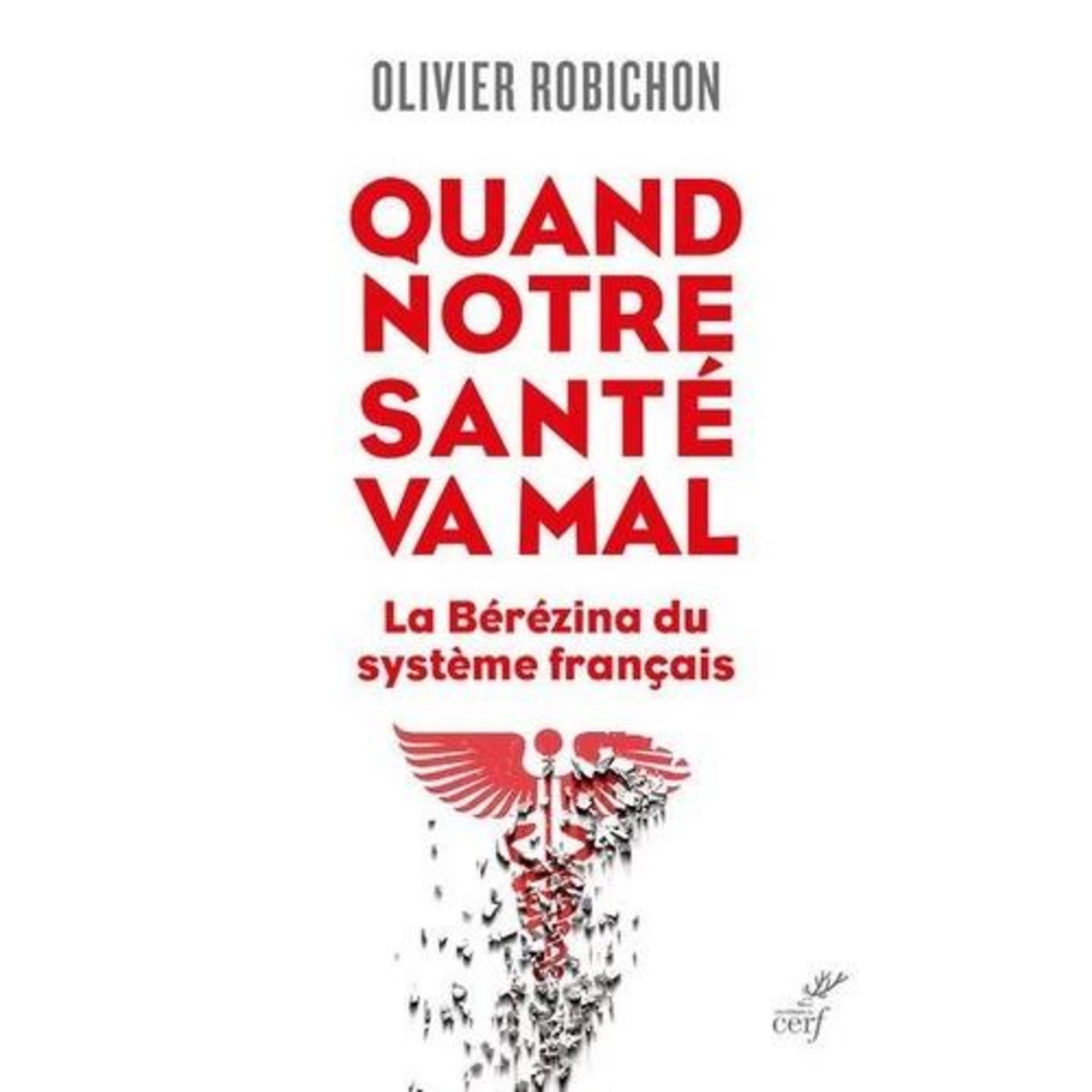 QUAND NOTRE SANTE VA MAL. LA BEREZINA DU SYSTEME FRANCAIS, Robichon Olivier