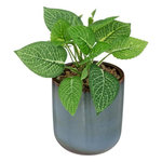ATMOSPHERA Plante Artificielle en Pot  Reac  16cm Bleu & Vert