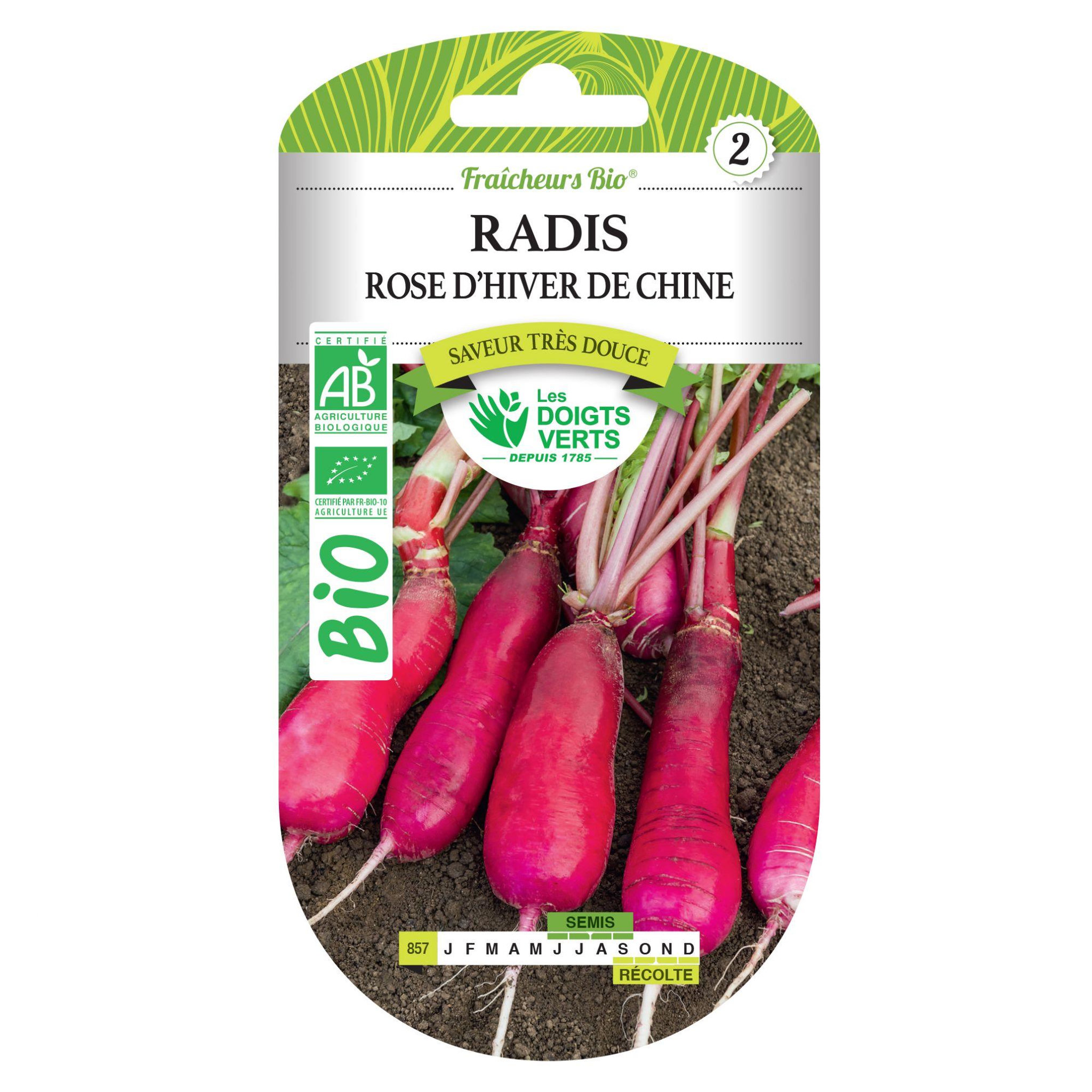 LES DOIGTS VERTS Graines radis rose d'hiver de Chine BIO Les Doigts Verts