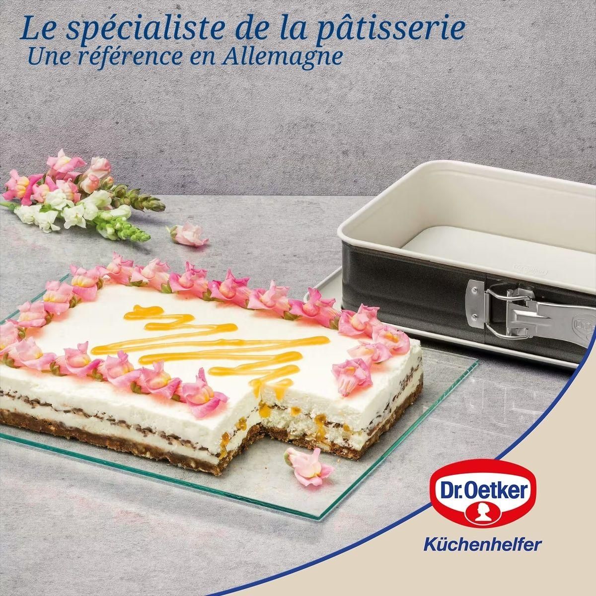 DR.OETKER Ensemble de 2 Moules à gâteau céramique et plat four 28 x 18 cm Dr Oetker Back Trend