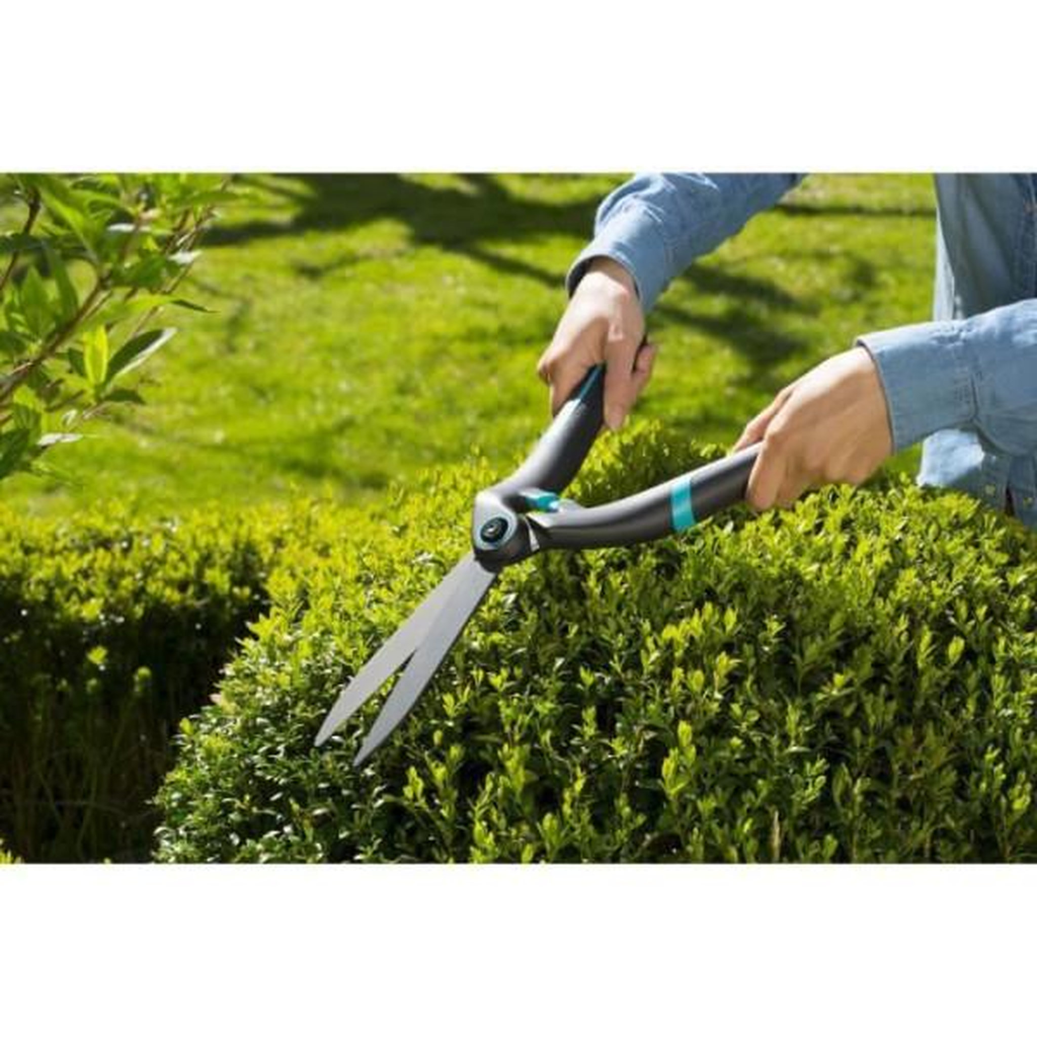 Voir la diapositive 4 : Gardena GARDENA Cisaille a haies PrecisionCut – Lames droites 180mm – Revetement anti-adhérence – Poignées ergo – Garantie 25