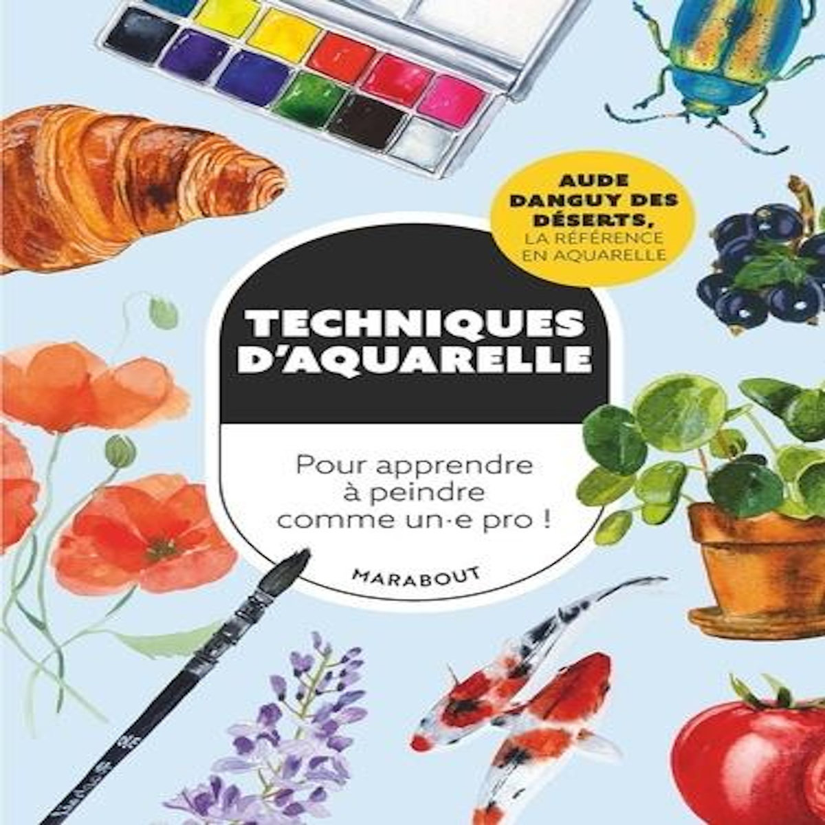TECHNIQUES D'AQUARELLE. POUR APPRENDRE A PEINDRE COMME UN.E PRO !, Danguy des Déserts Aude
