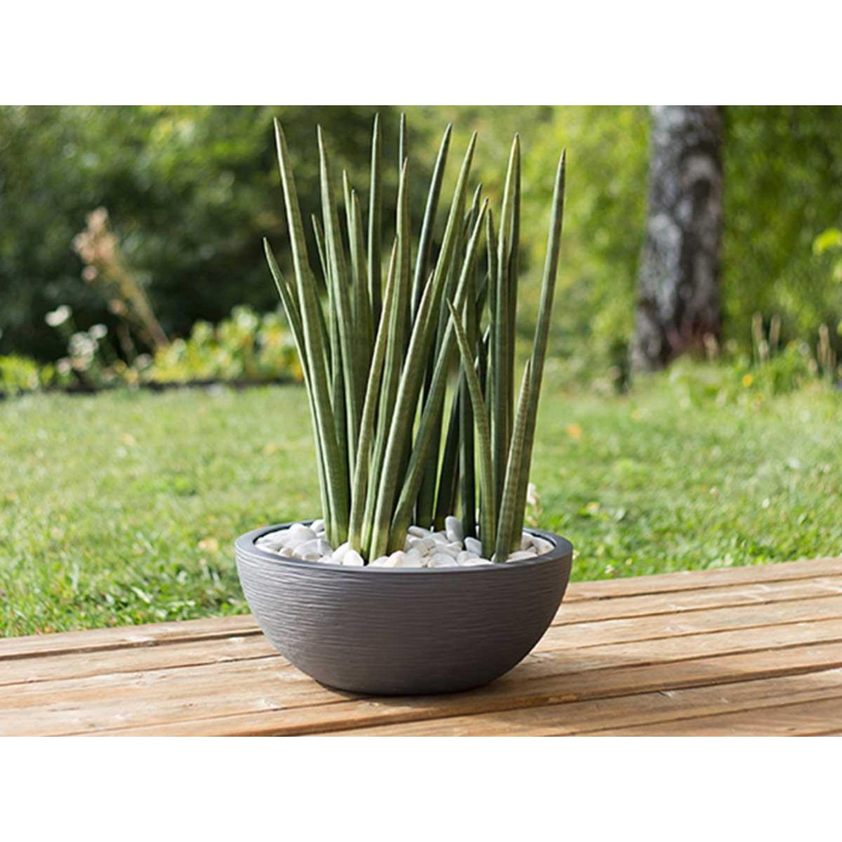 Eda Pot de fleur Vasque Graphit Anthracite - Eda