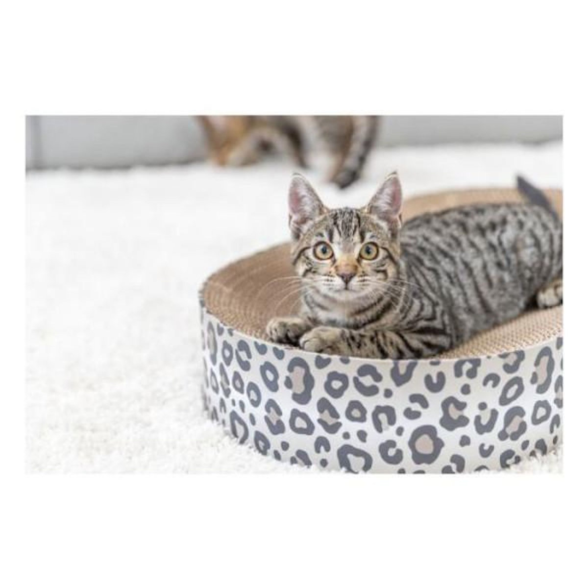 Trixie Lit griffoir - TRIXIE - LEO - Carton - 63 x 10 x 35 cm - Creme imprimé léopard