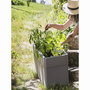 Voir la diapositive 2 : Eda Jardinière rectangulaire Carel taupe 78 x 39 x 39 cm - 63 L - Eda