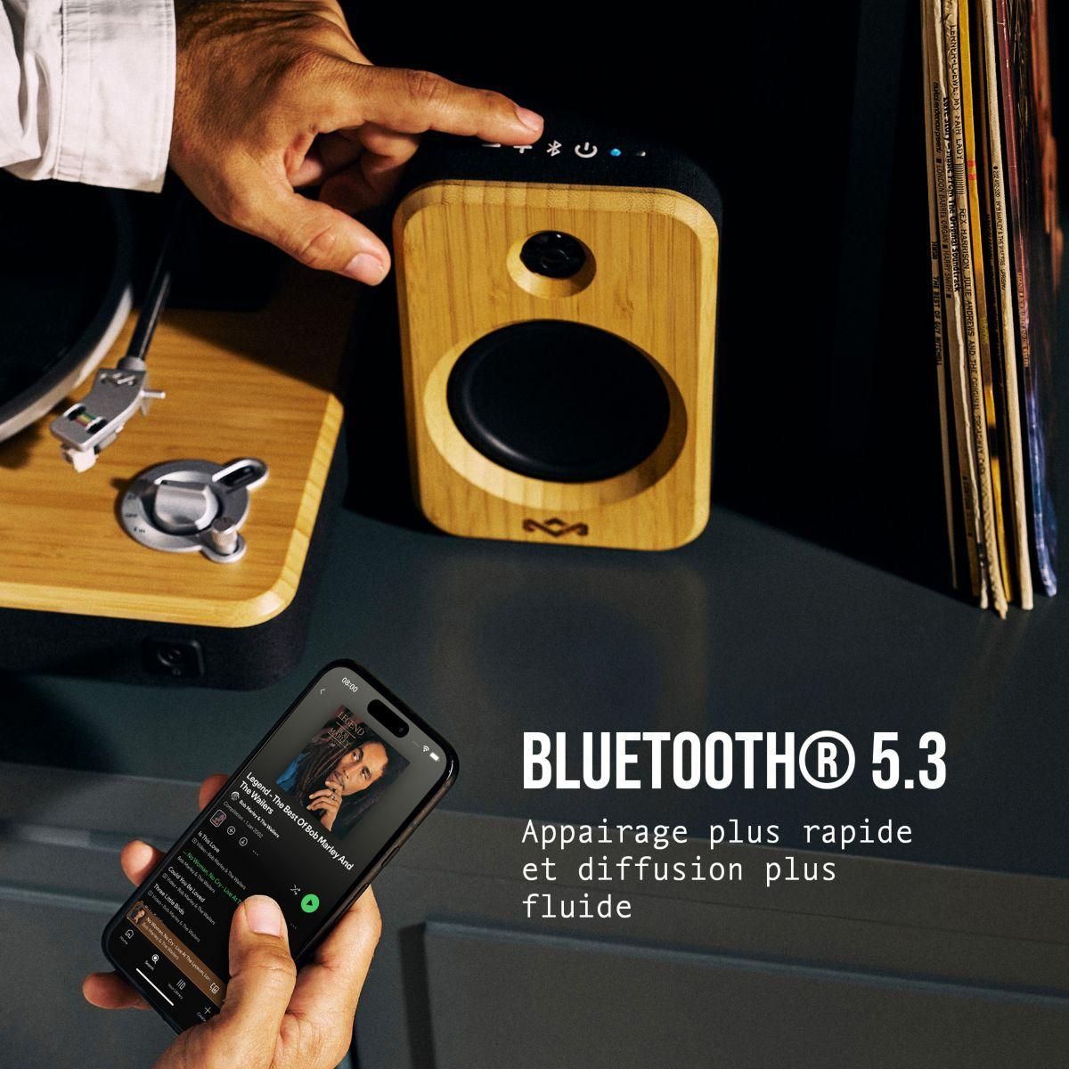 MARLEY Enceinte résidentielle Get Together DUO 2