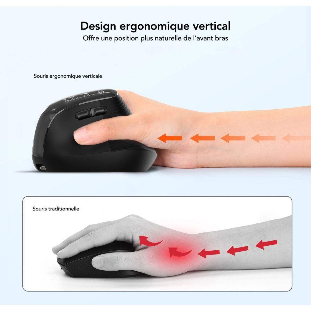 ESSENTIEL B Souris sans fil Ergo Sans fil