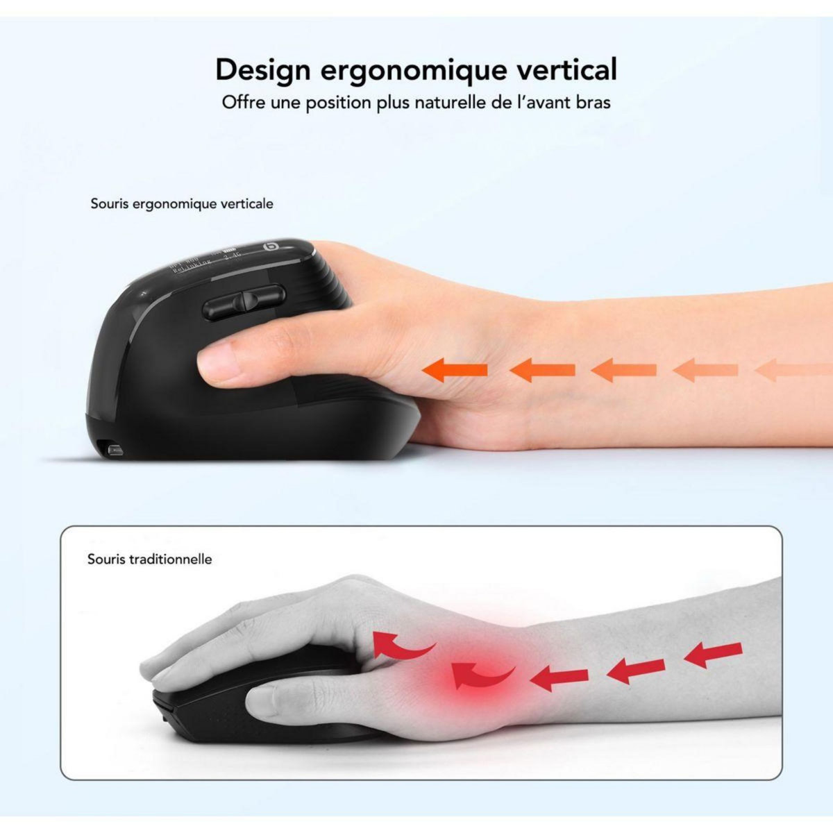 ESSENTIEL B Souris sans fil Ergo Sans fil