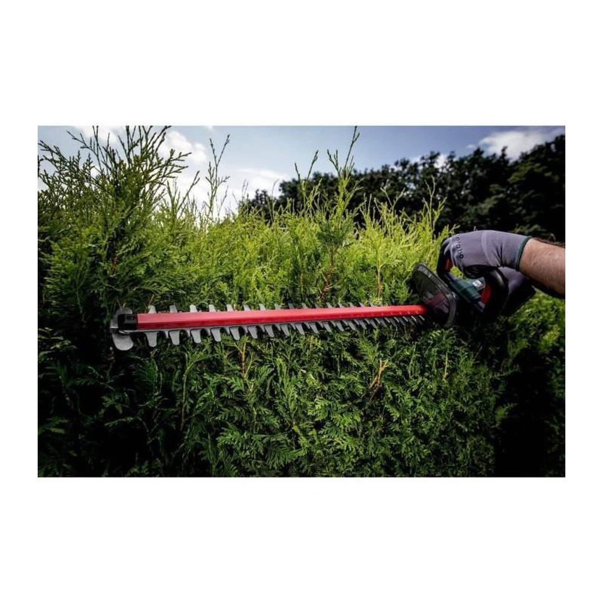 Voir la diapositive 3 : METABO Taille-haies sans fil - METABO - HS 18 LTX 65 - Lame 65 cm - 18 V - Coupe nette