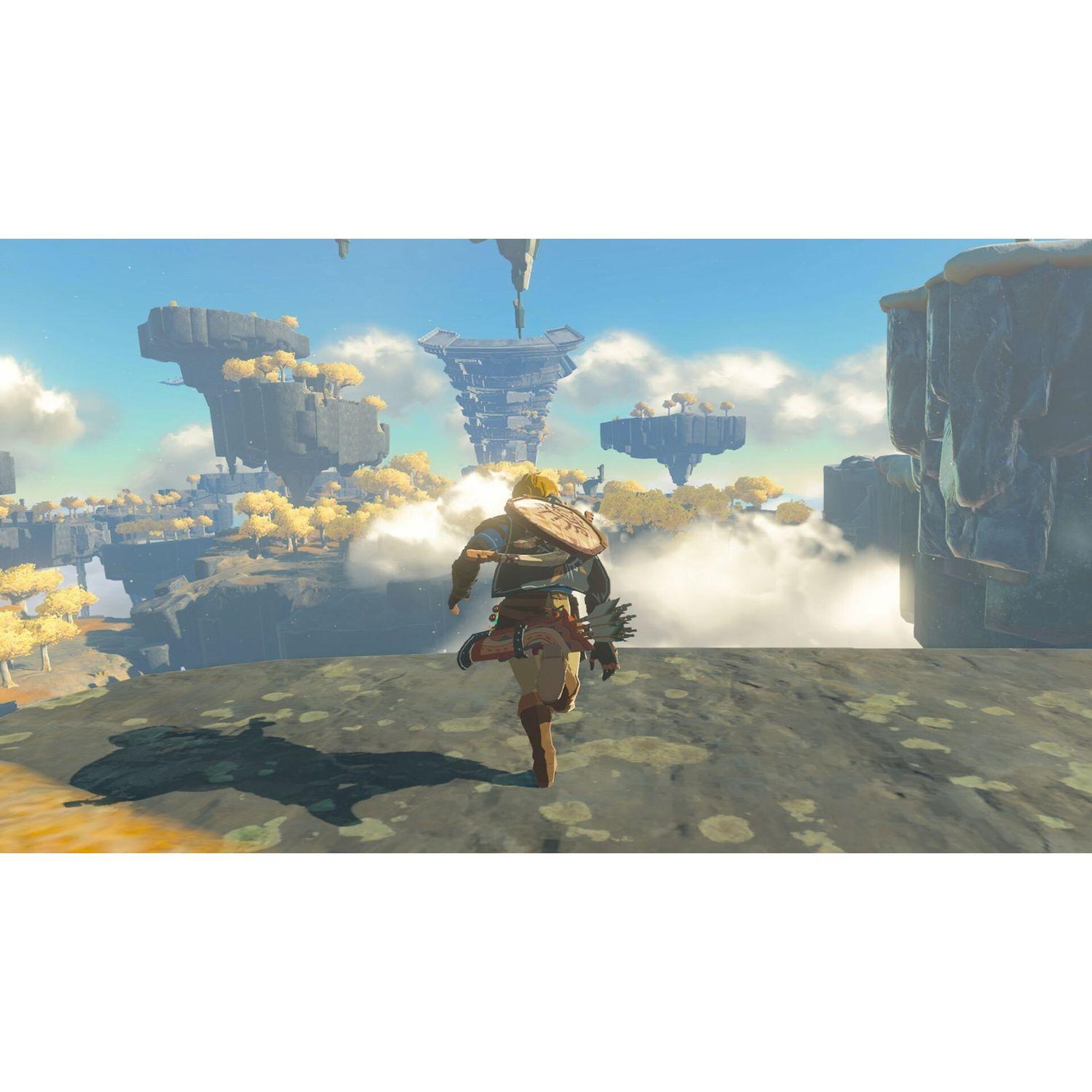 Voir la diapositive 3 : NINTENDO Legend of Zelda : Tears of Kingdom Collector Nintendo Switch