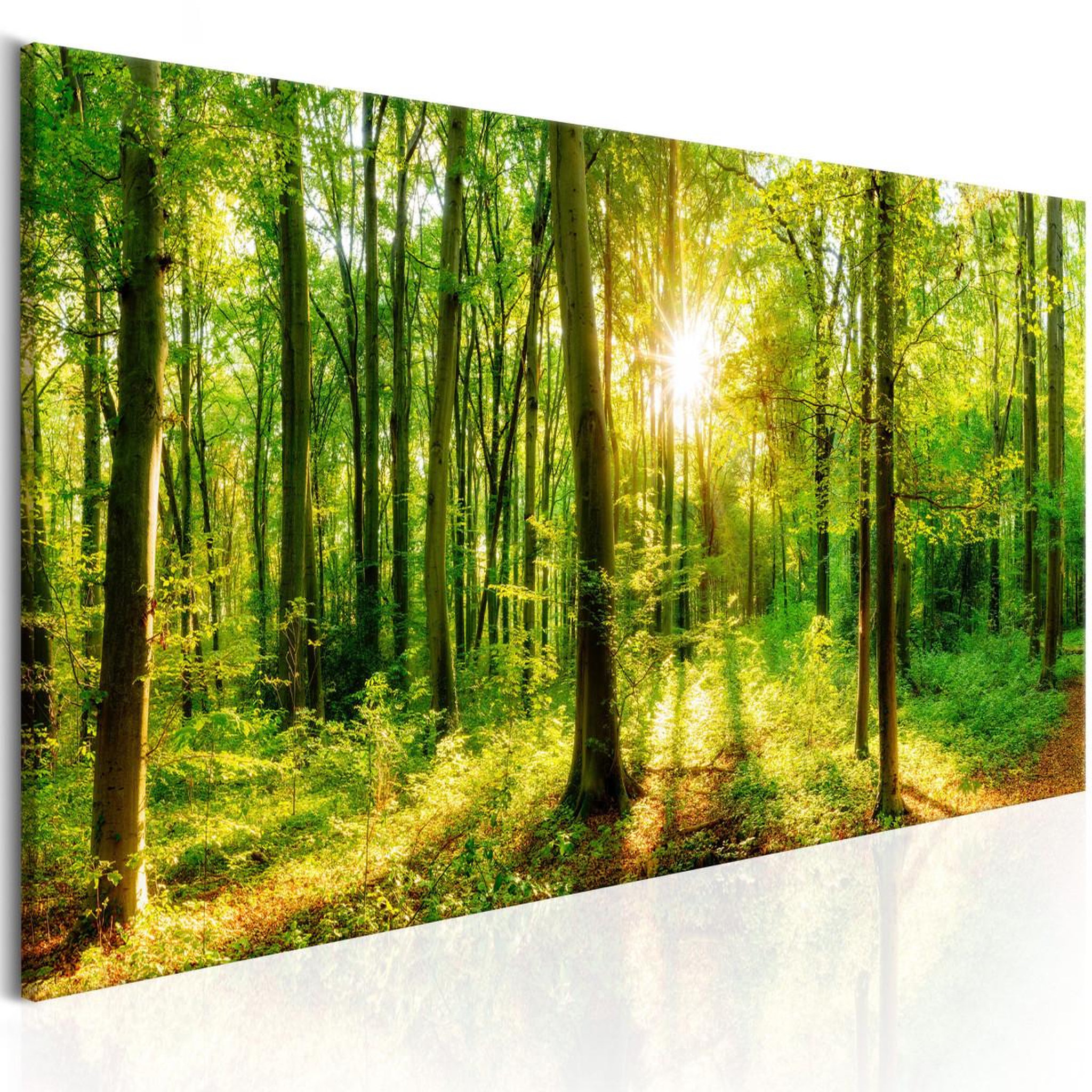 Voir la diapositive 1 : Paris Prix Tableau Imprimé  Green Magic