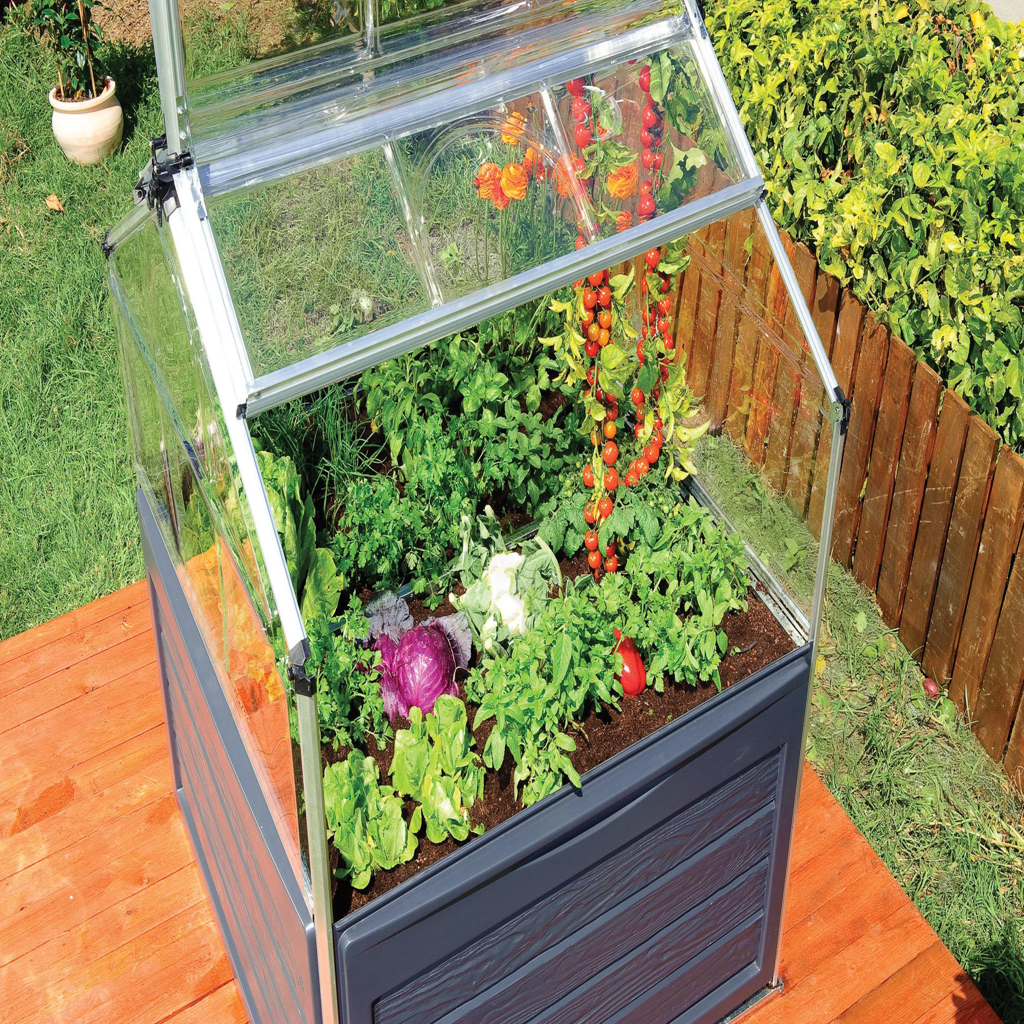 Voir la diapositive 5 : Canopia by PALRAM Mini-serre de jardin - Polycarbonate - 1,4m² - PLANT INN