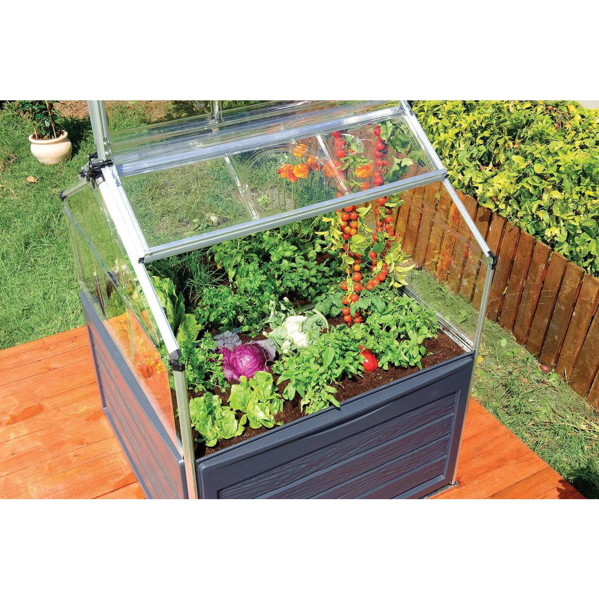 Canopia by PALRAM Mini-serre de jardin - Polycarbonate - 1,4m² - PLANT INN